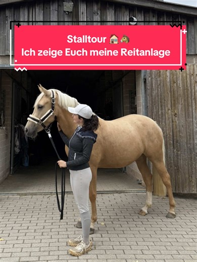 Stalltour: Einblick in meine Reitanlage Zuhause