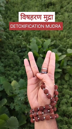 226K views · 5K reactions | Detoxification Mudra Detoxification...