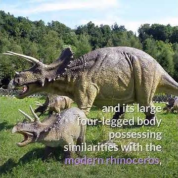 Triceratops || Three-horned face! Description!
