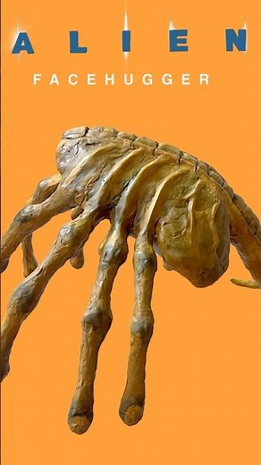 🎥 《抱臉蟲：噁心上色篇》#偉大大 #面具製作 #異形 #抱面蟲 #Alien #Facehugger #SciFiClassic