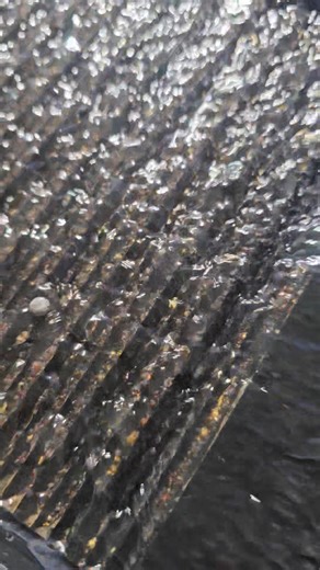 101K views · 1.8K reactions | Mad little gold clean-up | Vo-Gus Prospecting | Facebook