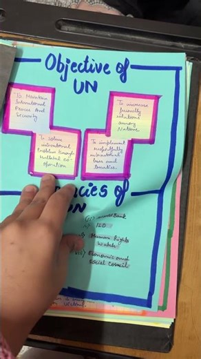 International organisation project file| class 12| political science| #class12 #politicalscience