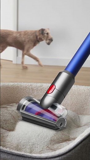 Dyson V11 Cordless Pet Vacuum | Lightweight 2-in-1 Cleaning