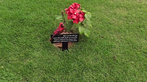 Cardinals Grave Decorations for Cemetery Memorial Plaque Stake for Grave, 14.2" H*9.5" W Metal Cardinal Garden Decor Graveside Decorations Sympathy Stakes for Outdoors Memorial Gift for Yard