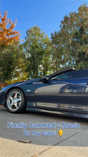Chevrolet Camaro SS on Instagram: "Low angle. Choppy idle. Karma just breathing. Some cars scream when they move — this one growls standing still. #catfishcamaro #fbody #cammed #choppyidle #americanmuscle #streetcar #dailydriven #quickperformance #carreels #musclecar #ls #cammednation #fyp #explorepage"