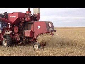 Harvesting the old way