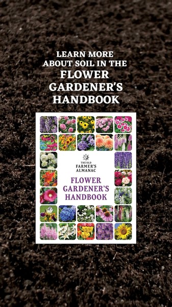 2.8K views · 195 reactions | Good soil is the secret to a successful garden. By identifying the characteristics of your soil, you can properly amend it - learn how with this DIY pH soil test from the 2023 Flower Gardener's Handbook! | The Old Farmers Almanac | Facebook
