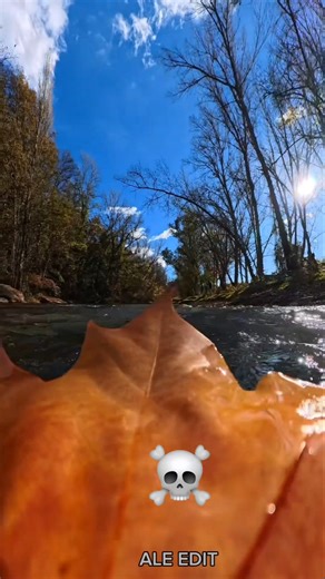 Creativity and photography ideas...