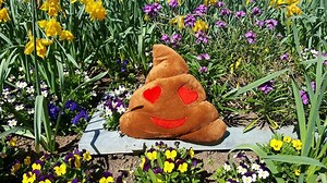 How a Smarter Toilet Could Save Millions of Lives a Year