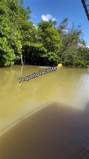 Caimán Gigante: Parte 3 del Miedo