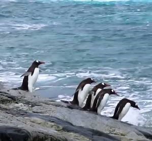 55K views · 713 reactions | Looking for some optimistic news? Science has the answer. | The Telegraph | Facebook