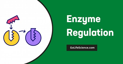 Enzyme Regulation: Importance, Mechanisms, and Applications