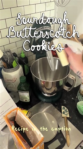 🍯 SOFT & CHEWY BUTTERSCOTCH COOKIES Makes: 20–24 cookies Bake: 350°F Chill: 30 minutes ⸻ INGREDIENTS * ½ cup (113 g) unsalted butter, softened * ¾ cup (150 g) packed brown sugar * ¼ cup (50 g) granulated sugar * ½ cup (120 g) sourdough starter or discard * 1 large egg * 2 teaspoons vanilla extract * 1½ cups (188 g) all-purpose flour * 1 teaspoon baking soda * ½ teaspoon salt * 1 cup (170 g) butterscotch morsels * ½ cup chopped pecans or walnuts, optional ⸻ INSTRUCTIONS 1. Cream the butter and s