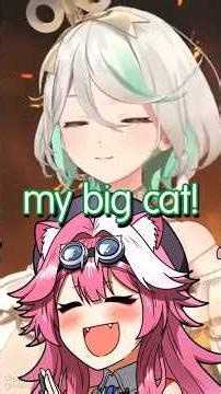 A Missing Stream… and a Missing Beeg Cat