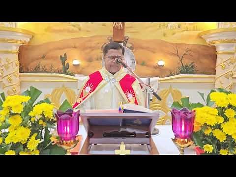 Holy Mass Wednesday 5.30 A M April 22 I Syro Malabar I Fr Bineesh Augustine Malayala