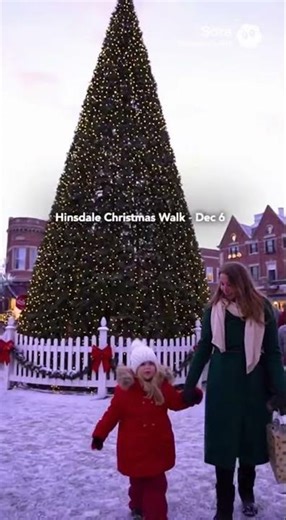 Best Holiday Lights & Events in Chicago + Western Suburbs (2025 Guide)