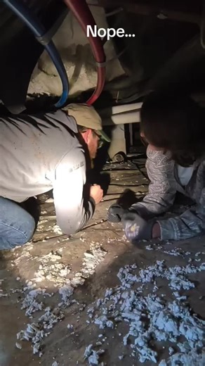 Yeah, that's a no for us. Seriously, some of y'all need to be ashamed of yourselves for sending other people into your horrendous crawlspaces. #hvac #bluecollar #trades #funny #wtf