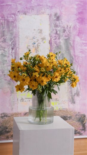 Color trends for 2026 continue to move toward clarity, balance, and intentional contrast. Within our Natura Moderna Collection, spray ranunculus express this shift through nuanced tones that feel both contemporary and natural. Thoughtfully curated, these colors are designed to bring depth and sophistication to modern floral work. We’re excited to see how they inspire your next compositions. Explore our collection: https://floraprima.com/collections/natura-moderna-collection #Floraprima #NaturaMo