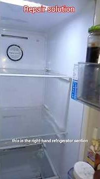 Samsung side by side convertible fridge repair #fridgerepair #refrigeratorrepair #fridgerepairing