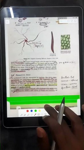 concept no 10 ‪@conceptofneet‬