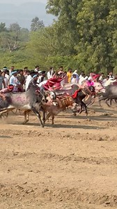 Bail gada Update on Reels