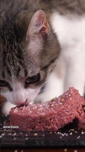 Cat Food Recipe | Tuna Treats