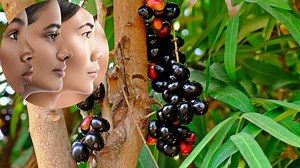 Java Plum Benefits: నేరేడు పండ్ల వల్ల చర్మానికి ఎన్ని రకాల ప్రయోజనాలున్నాయో తెలుసా..!