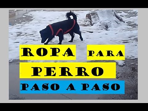 DIY Dog Clothes - STEP BY STEP - My Planet of Ideas