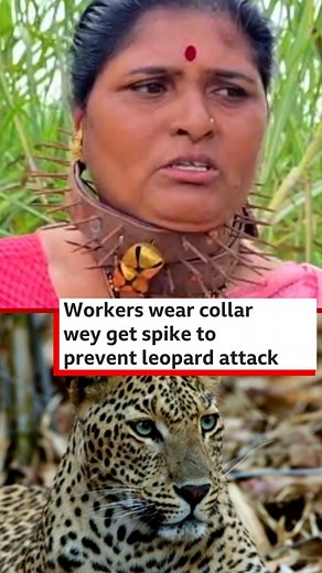 157K views · 1.7K reactions | Inside one village for Pune, for di...