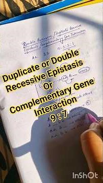 Duplicate or Double Recessive Epistasis or Complementary Gene Interaction 9:7