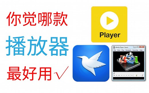 你觉得最好用的电脑视频播放器是哪一个？