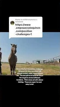 You can do these clicker training challenges with us! They are fun and easy!