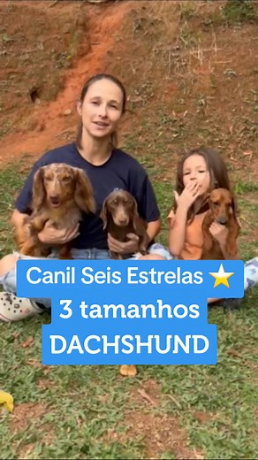 Os 3 Tamanhos de Dachshund: Descubra as Raças