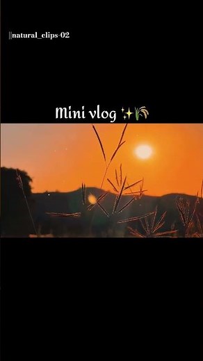 Mini Vlog✨🌿Boom Boom song|Jackky Bhagnani,Mika Singh| Party Song lyrics #vlog #boomboom