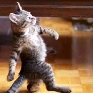 saparapa - Twitch