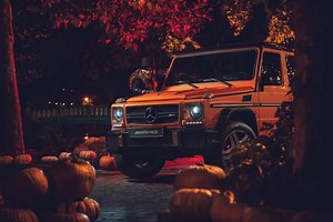 13K views · 1.5K reactions | For those of you who can't get enough...