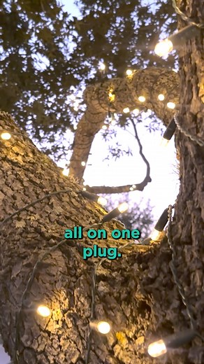 1.5K views · 21 reactions | How do you link? #LinknLights #EndlessJoy #ChristmasDecor #holiday #HolidayDecor | Linknlights | Facebook