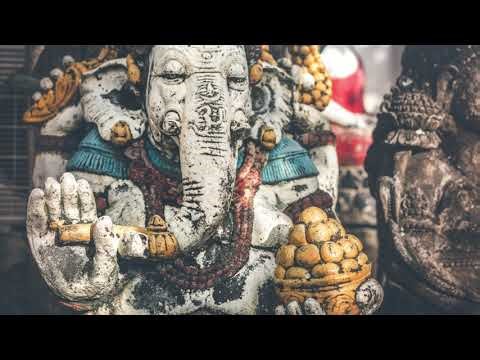 Coming Home to Your Body: Full Embodiment Guided Meditation | Somatic Presence Practice