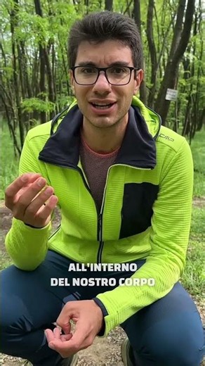 DON'T DO THIS When Removing Ticks! 🛑