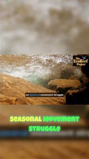 Save Our Rivers - Protecting Natural Flow is Key!