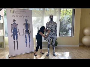 The Lymphatic system, the Fascia system & chronic pain