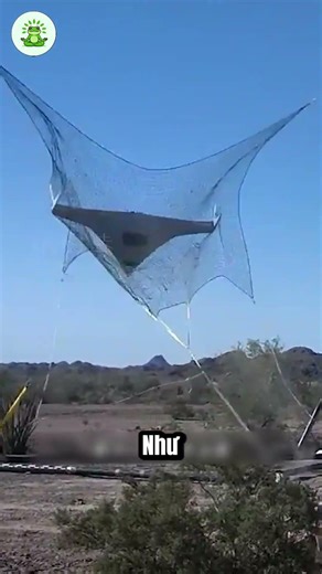 Decoding the Net Technology That Helps Aircraft Land Safely!