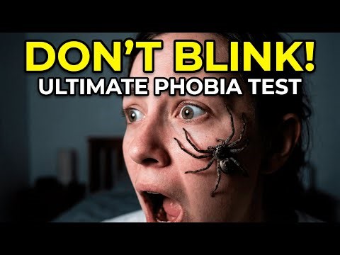 Ultimate Phobia Test: Can You Survive All Levels? 😱