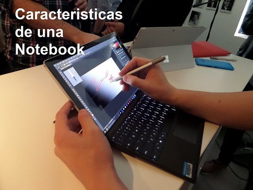 Diferencias , Características y Tipos de Notebook - VidaBytes