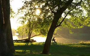 The 4 Best Ways to Explore Sterling!