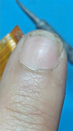 main flex Connector Change #mobilerepair #repair #phonerepair #android #viral #smartphone #shorts