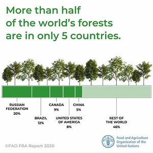 30K views · 662 reactions | How much forest do we have left? Our forests have changed over the last 30 years. Check out our new interactive report to find out how https://bit.ly/3dseR0r #FRA2020 | Food and Agriculture Organization of the United Nations (FAO) | Facebook