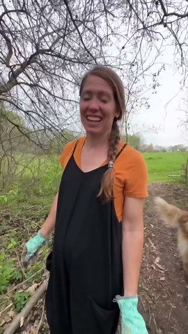 We built a bridge in the woods