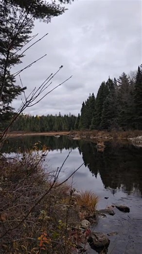 Walked 9 miles today and put up a bunch of birds! #epicseaplaneadventures #baldmountaincamps #Maine #skywagon #seaplane #birdhunting #uplandhunting #gsp #scenic #adventure | epic_seaplane_adventures | Facebook