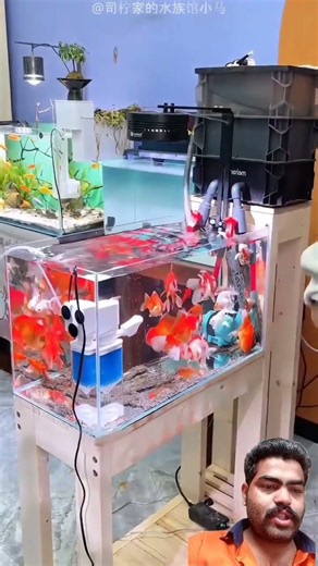 Genius Way To Clean Fish tank